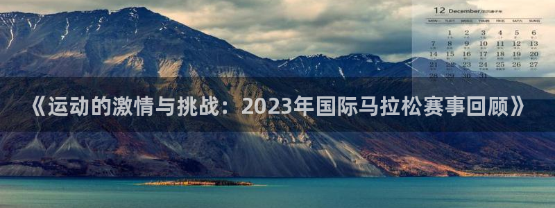 《运动的激情与挑战：2023年国际马拉松