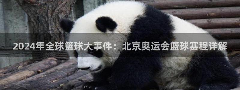 乐球体育足球直播